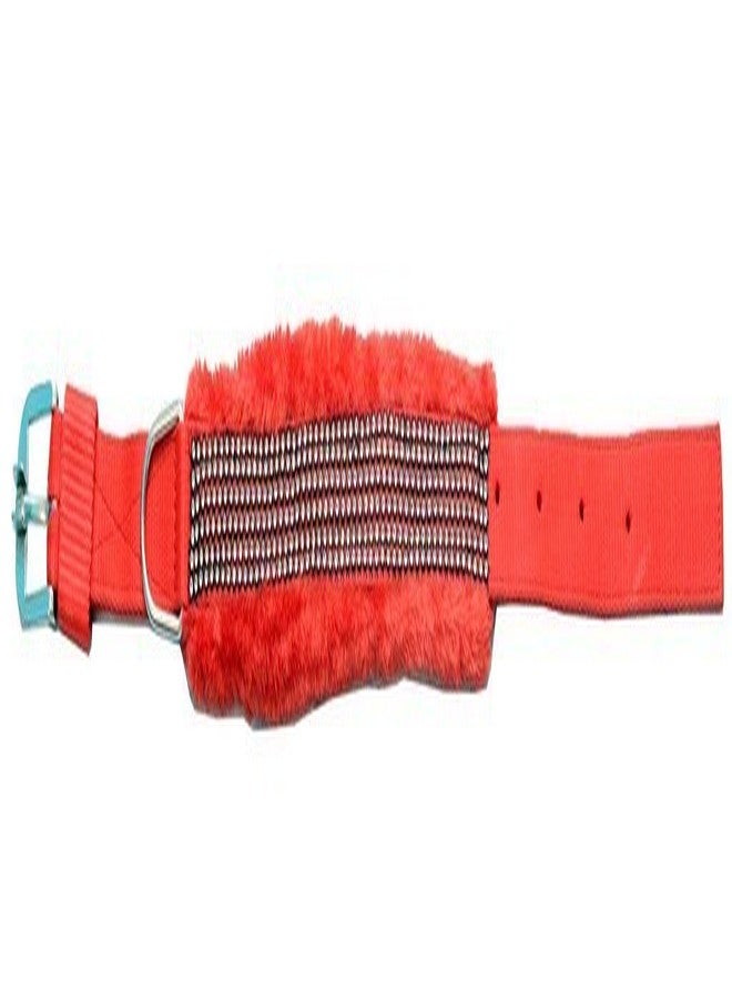 سكورا طوق كلاب أنيق من النايلون من سكورا - 1.25 بوصة - كبير (أحمر) - Image 3